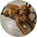 TinkerWorks profile picture